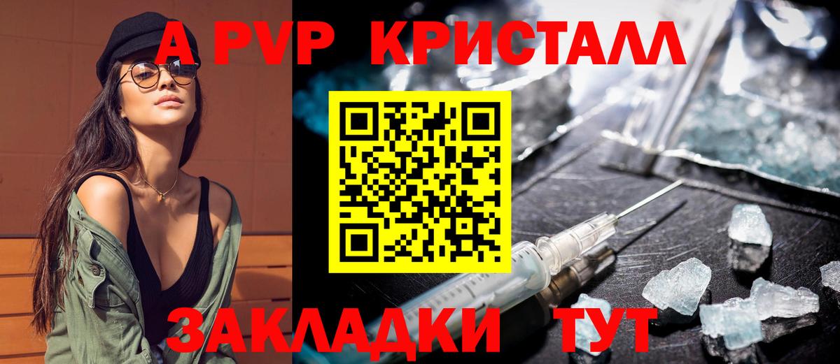 APVP СК Камышлов