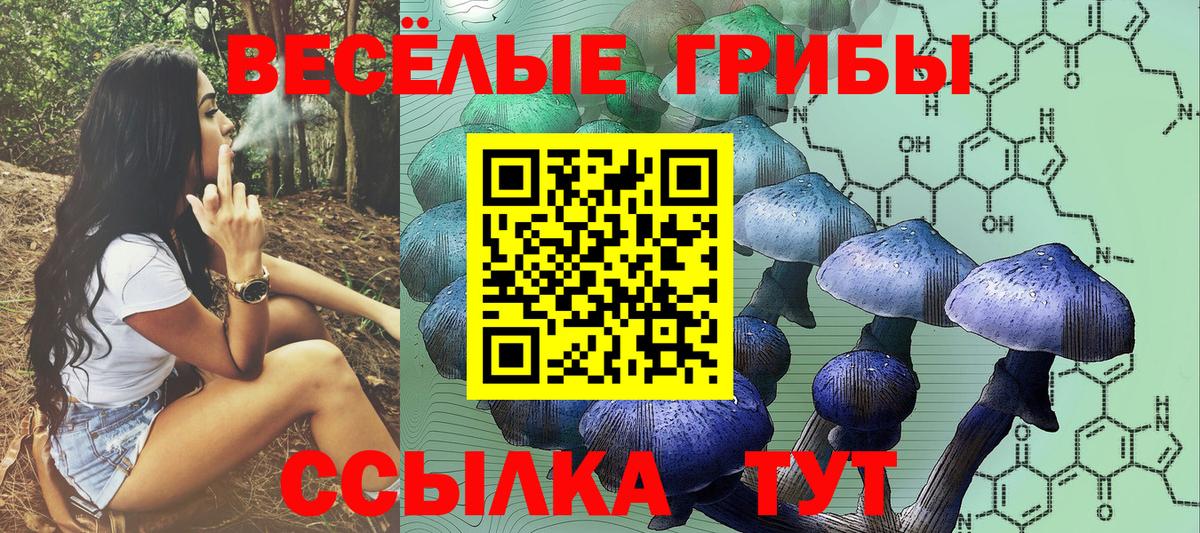 Псилоцибиновые грибы мицелий  Псилоцибиновые грибы прущие грибы  Вход с VPN  Камышлов 