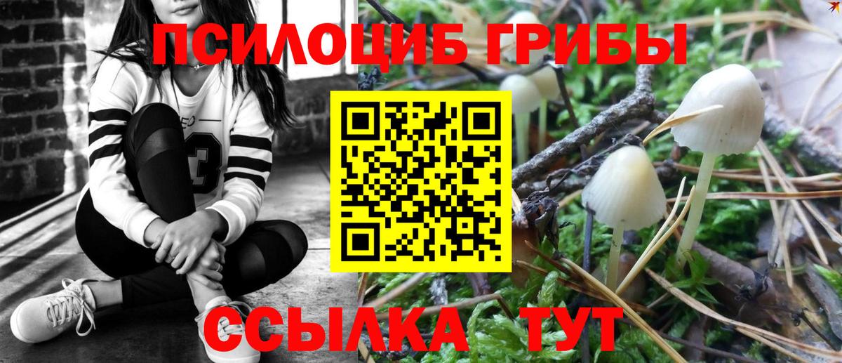 Псилоцибиновые грибы прущие грибы Камышлов